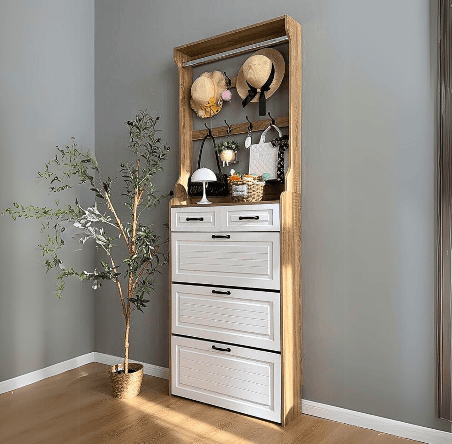 Modern Shoe Cabinet - Space-saving and Stylish