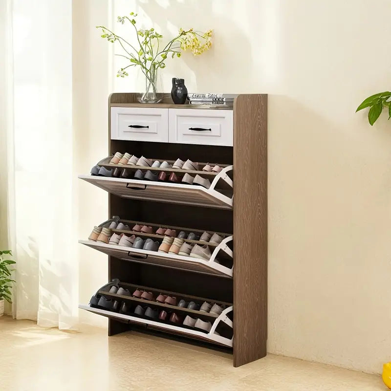 Modern Shoe Cabinet - Space-saving and Stylish